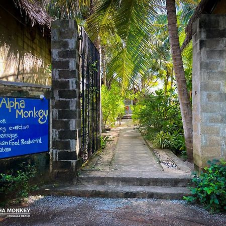 טנגלה The Alpha Monkey Hotel & Tree House מראה חיצוני תמונה