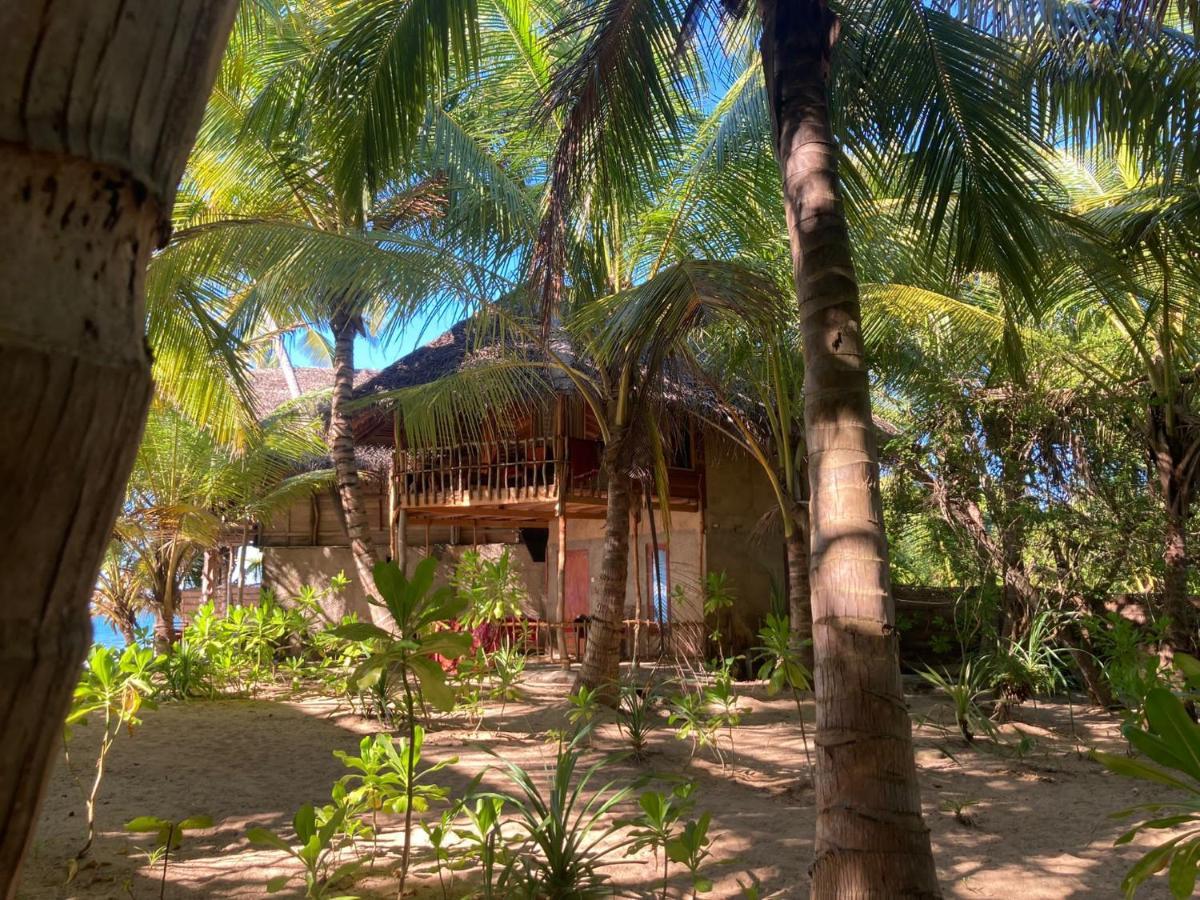 טנגלה The Alpha Monkey Hotel & Tree House מראה חיצוני תמונה