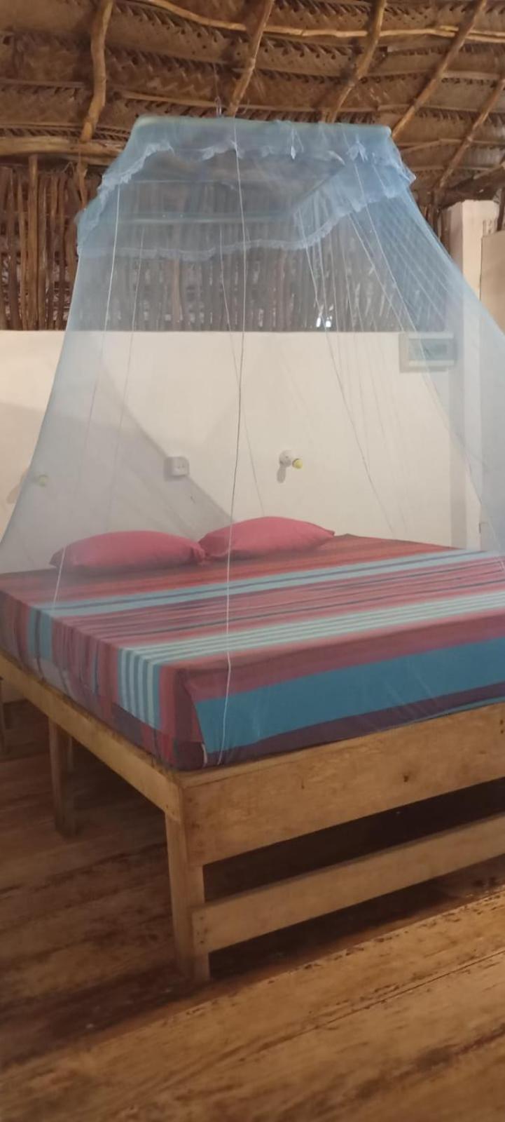 טנגלה The Alpha Monkey Hotel & Tree House מראה חיצוני תמונה
