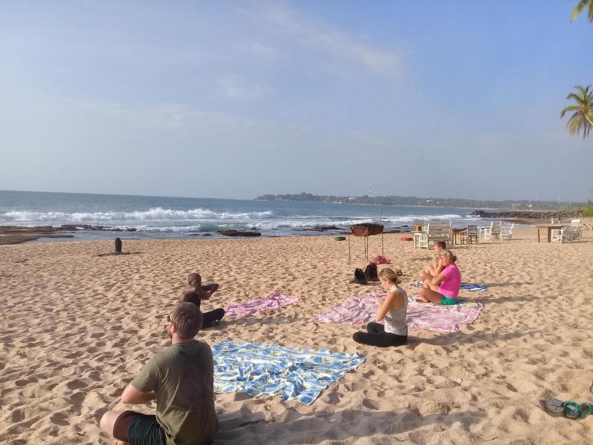 טנגלה The Alpha Monkey Hotel & Tree House מראה חיצוני תמונה